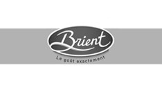 Brient